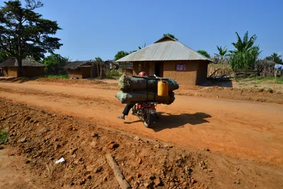 DSC_5262 (Large).JPG